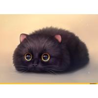 Котик Дошик