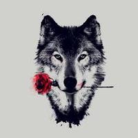 Ная Виллент