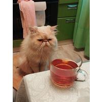 Лёся