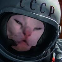 Кедр