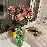 Сикисима сикисима