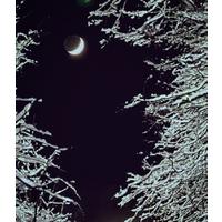 Лакерда Бердник