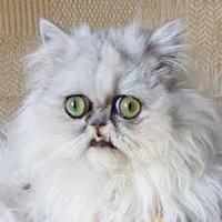 Софья