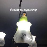 Светлана